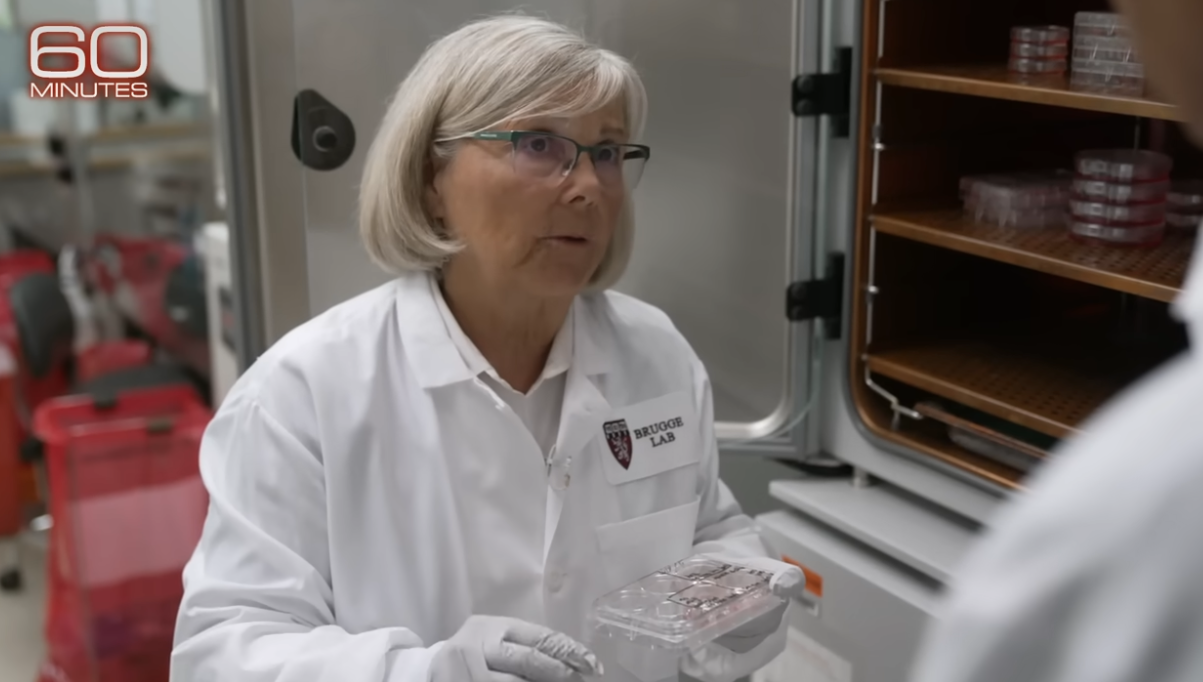 Joan Brugge in her lab