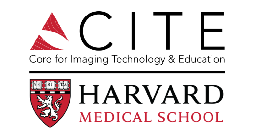 CITE logo