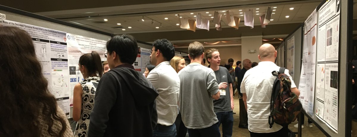 Poster session at an annual Cell Biology retreat