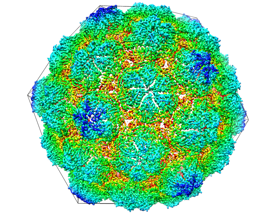 liao-lab-determines-cryo-em-structure-of-a-large-protein-organelle-for