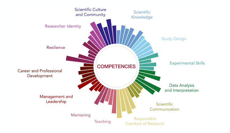 Conceptual diagram illustrating a competency framework comprising 56 competencies across 13 core areas