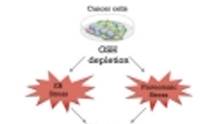 Diagram of cancer cells and GSH depletion