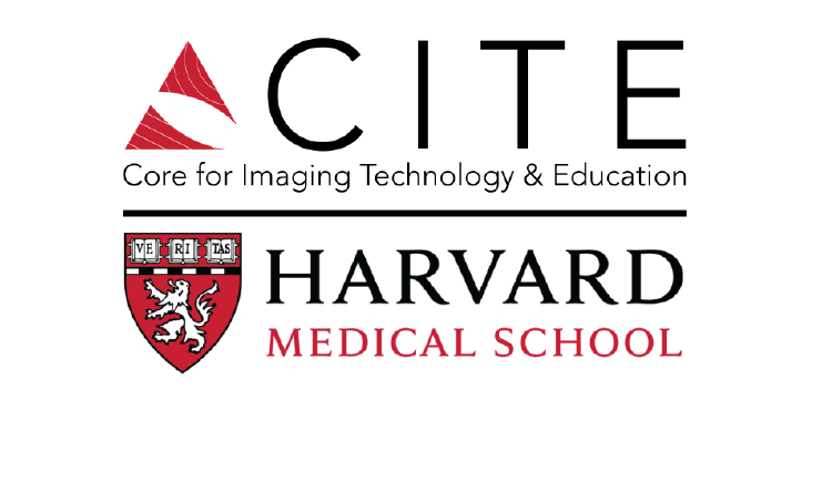 CITE logo