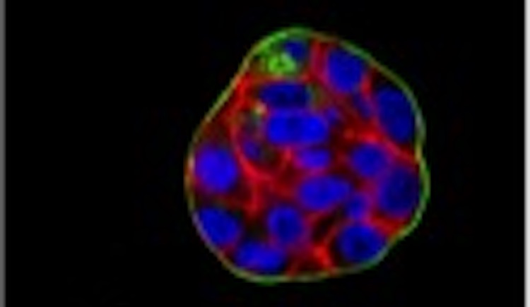 Illuminated image of cell