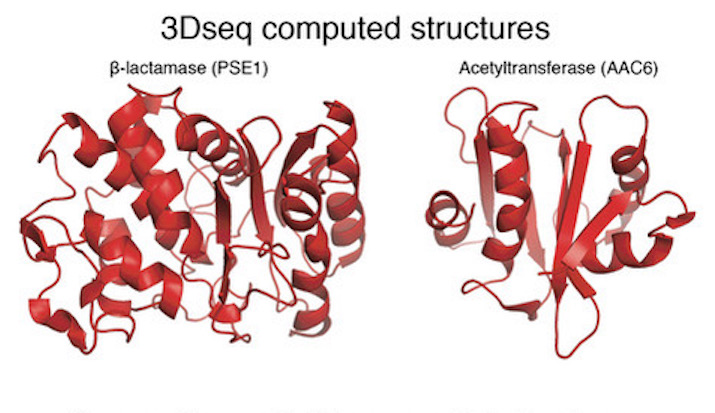 3Dseq