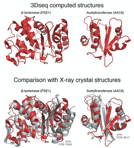 Large-scale determination of previously unsolved protein structures using  evolutionary information – Baker Lab