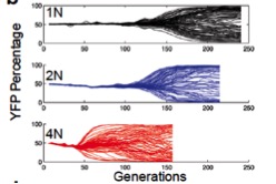 YFP Percentage and Generations Graph