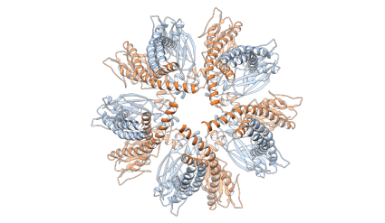 Cryo-EM Structure of seipin